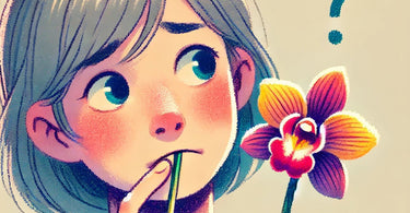 Are orchids edible?