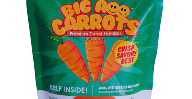 How to grow carrots?