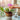How much light do orchids need?