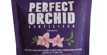 How to get orchids to bloom?