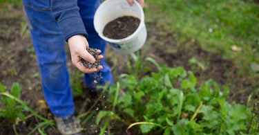Can I use Rose Fertilizer on Vegetables?