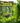 Happy Cucumber Fertilizer – Organic Fertilizer for Cucumbers, Zucchini, Melons & Gourds