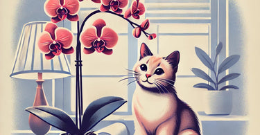 Are orchids safe for cats?