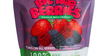 What is the best fertilizer for blueberries?
