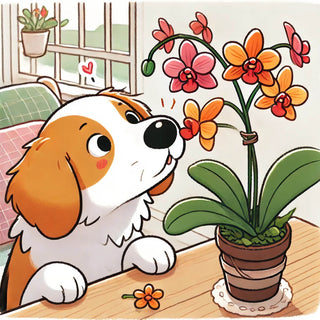 Are orchids poisonous to dogs?
