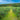 How far apart to plant blueberry bushes?