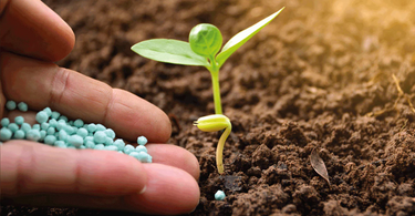 How Long Does Fertilizer Last in Soil?