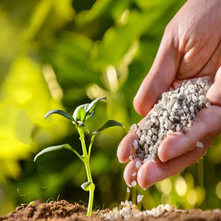 What is the Difference between Organic and Inorganic Fertilizers?