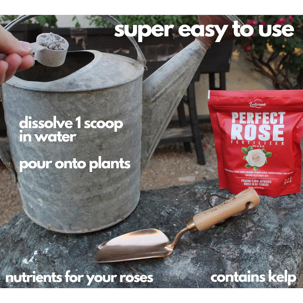 Nutrients For Roses When to fertilize roses? β Happy Nutrients