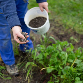 Can I use Rose Fertilizer on Vegetables?