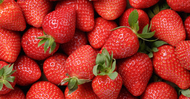 How to plant strawberries?