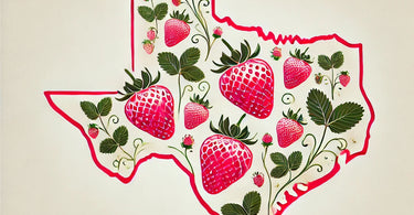 When to plant strawberries in Texas?