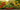 Fruit Fertilizers