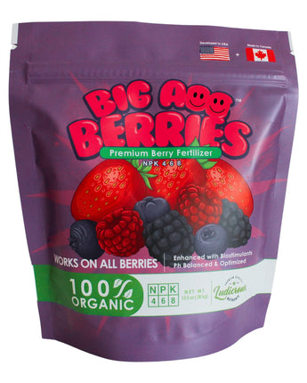 Strawberry Fertilizer by BigAss Fertilizers for Strawberries, All Berries - 100% organic (12 oz pouch)