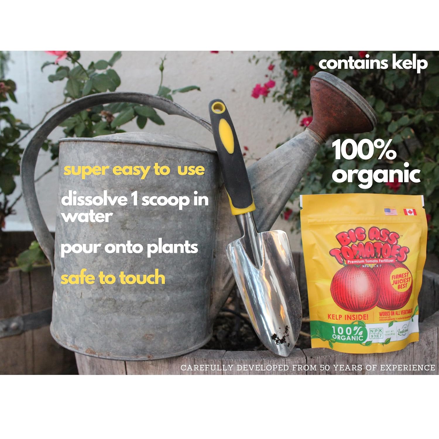 best organic tomato plant fertilizer Big A Tomato Premium Organic Fertilizer with Kelp 13.5oz Indoor/Outdoor Plant Fertilizer