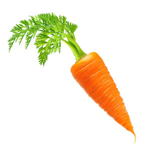 Fertilizer for Carrots