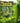 Happy Cucumber Fertilizer – Organic Fertilizer for Cucumbers, Zucchini, Melons & Gourds