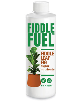 Fiddle Fuel - Fiddle Leaf Fig Plant Food for all Houseplants - 8 Fluid Oz