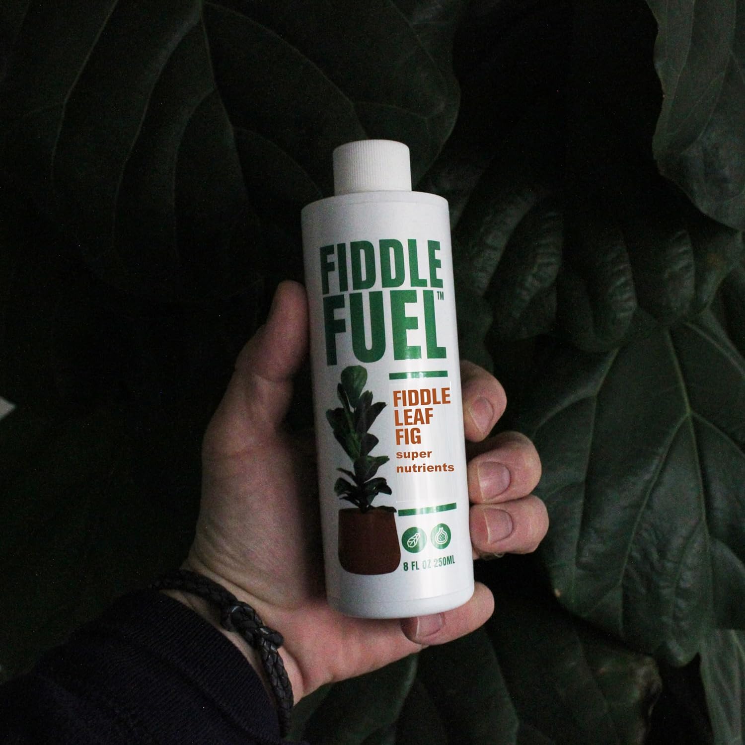 oil for fiddle leaf fig Fiddle Fuel – The Ultimate Fiddle Leaf Fig Premium Plant Fertilizer Liquid Nutrients Super Easy To Use for Fig Trees And