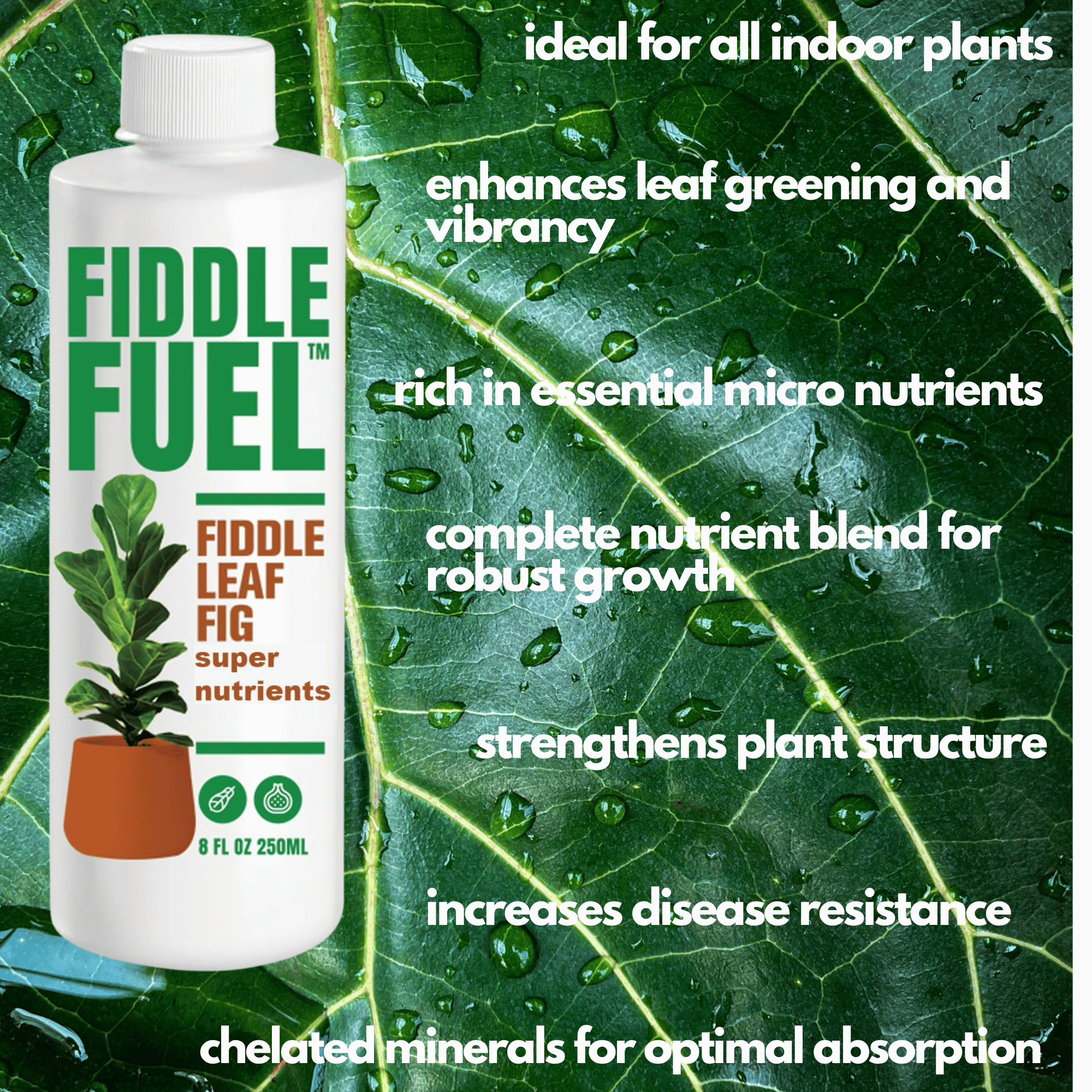 insecticide for fiddle leaf fig Fiddle Fuel – The Ultimate Fiddle Leaf Fig Premium Plant Fertilizer Liquid Nutrients Super Easy To Use for Fig Trees And