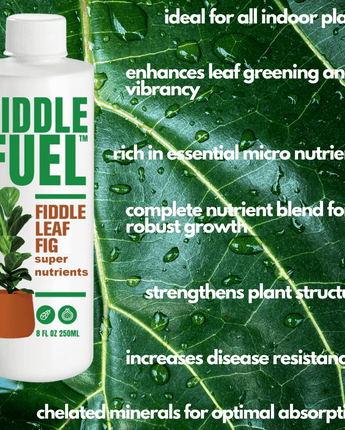 Fiddle Fuel - Fiddle Leaf Fig Plant Food for all Houseplants - 8 Fluid Oz