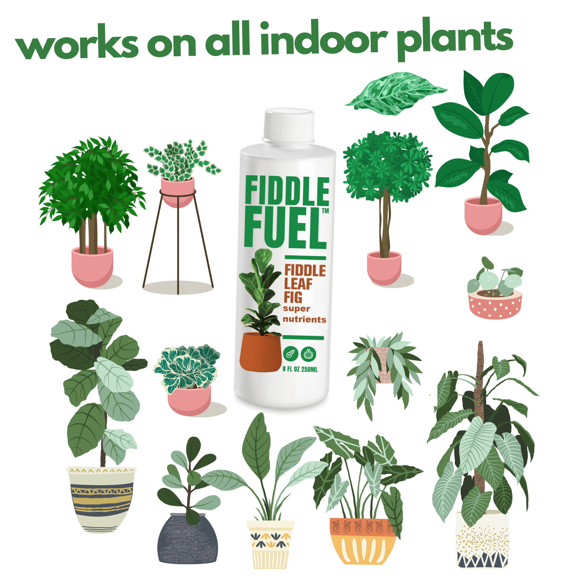 fiddle leaf fig nutrients Fiddle Fuel – The Ultimate Fiddle Leaf Fig Premium Plant Fertilizer Liquid Nutrients Super Easy To Use for Fig Trees And