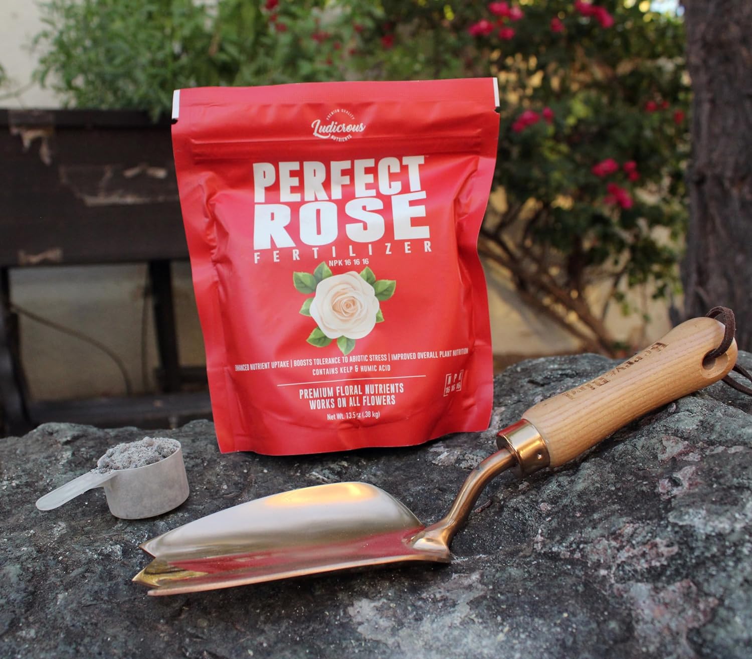 best rose plant fertilizer Perfect Rose Fertilizer 12 oz Premium Fertilizer for Roses and Flowers Nutrients with Kelp