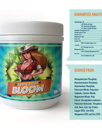 Bloom Fertilizer by Ludicrous Nutrients - Use During Blooming/Flowering Phase (500 grams)