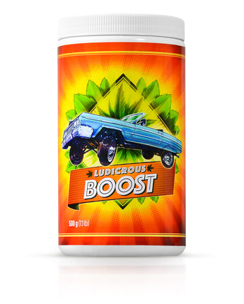 Bloom Booster Fertilizer - by Ludicrous Nutrients - 500 grams