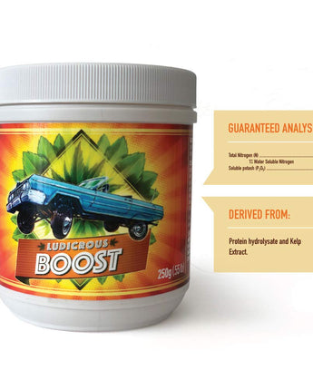 Bloom Booster Fertilizer - by Ludicrous Nutrients - 500 grams